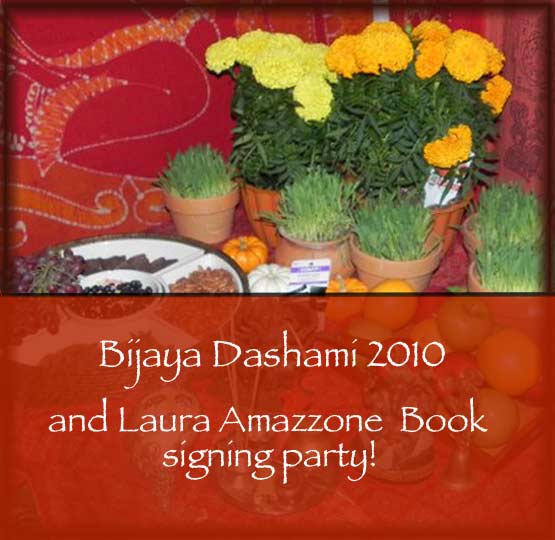 bijaya_dv2_2010.jpg